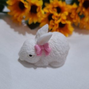 Bunny soap